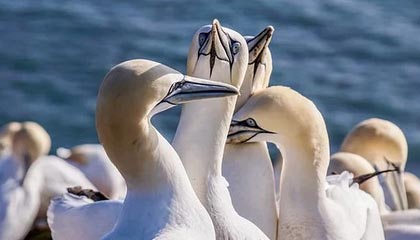 B体育平台_ 冯潇霆：经验对中国足球年轻球员的传承与指导，国足队长冯潇霆的老婆