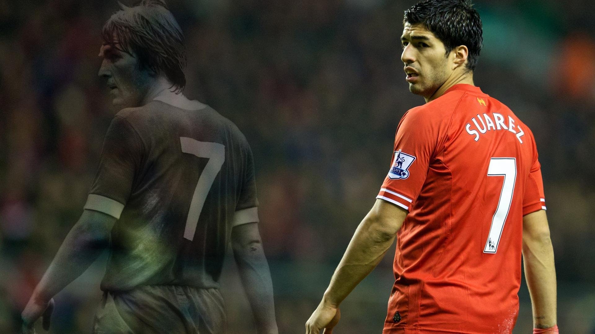 激烈马术公开赛顶尖组合巅峰对决,马术挑战